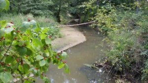 Национальный парк "Чаваш вармане" Тайны чувашского леса