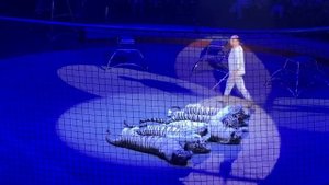 12.03.2023, сходили в Казанский цирк "На грани"? (короткий ролик)