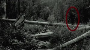 ВСЯ ПРАВДА о легенде о СЛЕНДЕРМЕНЕ