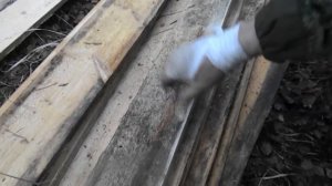 Строительство охотничьей избы из досок,поход.