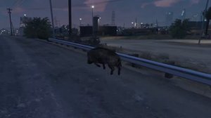 КАК СТАТЬ КАБАНОМ  В GTA5 Лофофоры #2