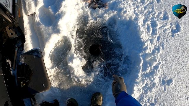 Чудское озеро. Куру. Peipsi järv. Kuru. Февраль 2021. Часть первая. смотреть онлайн