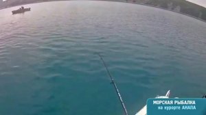 Как ловят ставридку на пустые крючки в Анапе на Черном море