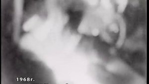 Колхоз имени 21 партсъезда (Бабаевский район, 1968 год)