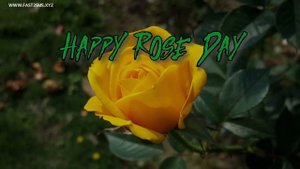 Happy rose day pic with name, Rose day images Video