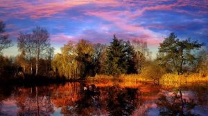 Сергей Есенин - Закружилась листва золотая. Стихи читает Анастасия Забродина.