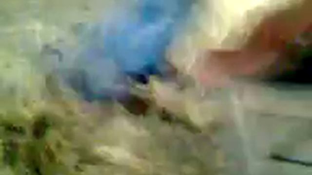 поймали рукоблуда смотреть онлайн