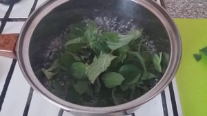 Как Сварить Мятный Сироп? На Мохито! На Напитки! И Пропитку Тортов!