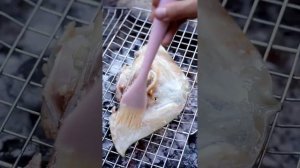 Strange food collection, lobster brain, charcoal grilled crocodile| Chinese Food Eating Show