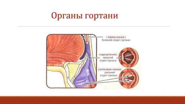 Урок 1 смотреть онлайн