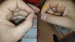 Как расправить бабочку для коллекции / припарирование бабочек