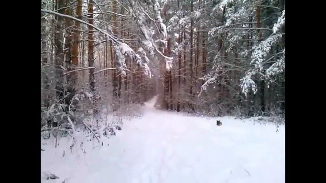 Снежный Горный Алтай крутой подъеми быстрый спуск смотреть онлайн