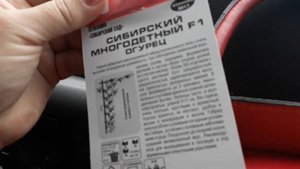 ✔350 шт с КУСТА!✔ОГУРЕЦ??ГИБРИД_F1_"СИБИРСКИЙ МНОГОДЕТНЫЙ"