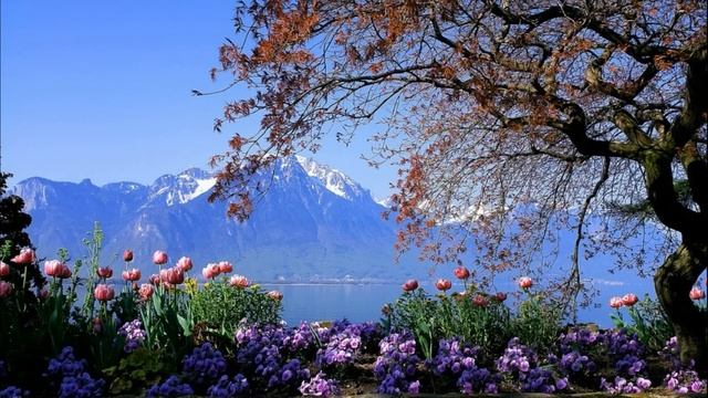 Свекровь решила перезимовать у молодых супругов в Сочи, и тогда они решили, что... смотреть онлайн