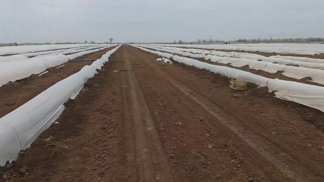 6 мая 2019.небольшой обзор. смотреть онлайн