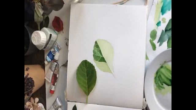 Зеленые листья акварелью смотреть онлайн