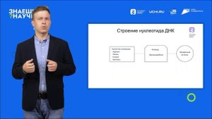 ДНК.Строение и функции. Как все понять и запомнить? Нуклеотиды. Хромосомы, гены, хроматин. ЕГЭ|ОГЭ
