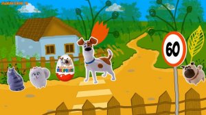 ДЕРЕВЕНСКИЕ Будни. Обзор на игрушки из мультика Тайная Жизнь домашних животных