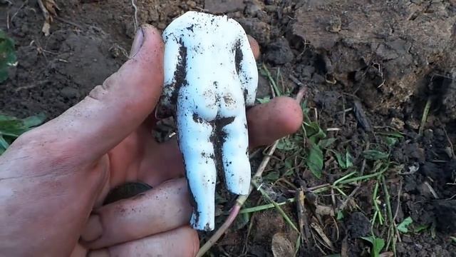 ШУРФ ФУНДАМЕНТА СТАРОГО ДОМА. НАШЕЛ ЦАРСКИЕ МОНЕТЫ НА КРАЮ ДЕРЕВНИ. КОП И ПОИСК С МЕТАЛЛОИСКАТЕЛЕМ