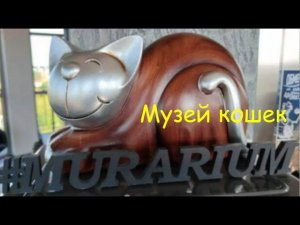 Коты и кошечки - Музей кошек "Мурариум"