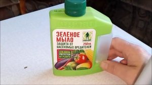 Зелёное мыло для орхидей. Что это такое? Обрабатываем новинку.