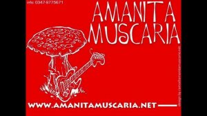 Amanita Muscaria - Jazzamanno