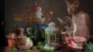 КОГДА ДРУЗЬЯ ВСТРЕЧАЮТСЯ...