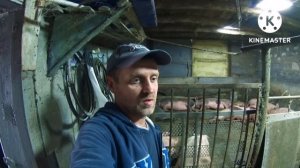 500‼️Переделываю гараж на щелевые полы для свиней ‼️