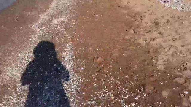 Грязевой вулкан Тиздар курорты Краснодарского края 2023 смотреть онлайн