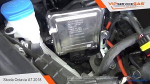 Гбо на Skoda Octavia А7 1.6 2018 - ГБО Landi Renzo-Установка ГБО 4 поколения ВИПсервисГАЗ Харьков