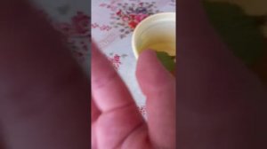 чем питаются божьи коровки и  информация о ней