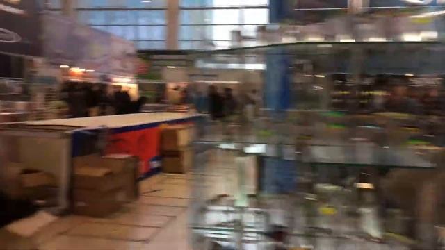 Выставка "Охота и рыбалка на Руси" 2017 год смотреть онлайн