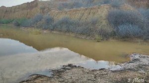 Вижу тень наискосок...