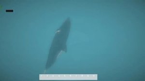 ▼Детально воссозданная Африка (по секретным документам) в Age Of Survival.