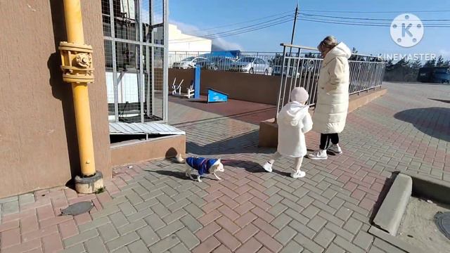 23 февраля vs 8 марта 2024. Идиллия Геленджик. смотреть онлайн