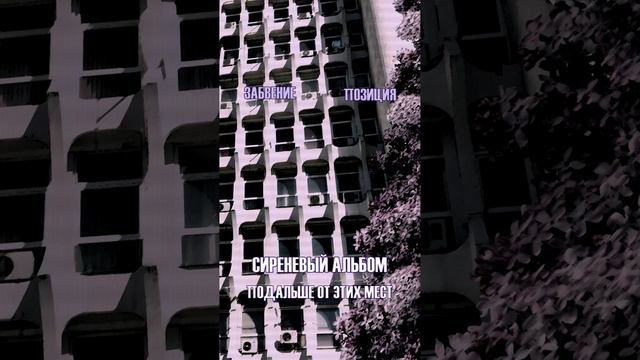 Забвение, позиция - Сиреневый альбом (Подальше от этих мест) #забвение #позиция #постпанк
