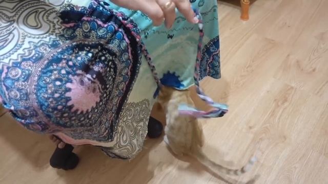 VLOG Пранк над Надей. День Рождения Златы. Лимон кувыркается