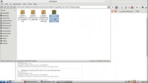 How to run Canon Pixma MG2440 drivers on GNU Linux OS?