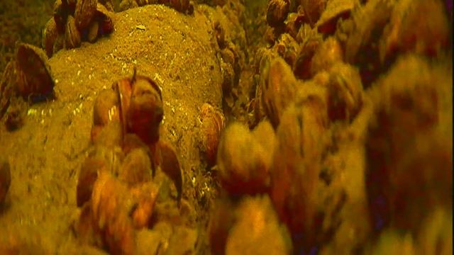 IMX327 F1.5 2.8 смотреть онлайн