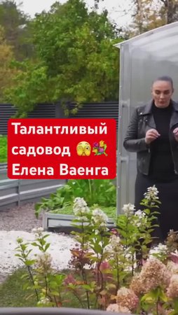 Подсмотрели за садом ЕЛЕНЫ ВАЕНГИ