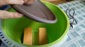 Петуния больше не пересохнет. Петуния на фитильном поливе