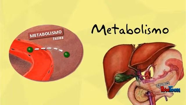 Captopril, farmacocinética смотреть онлайн