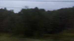 Утренняя Россия из окна поезда. Редкино, Московское море и Завидово.