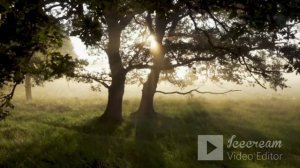 Nature sounds. Music for Yoga | Meditation | Relaxation. Музыка для йоги | медитации | релаксации