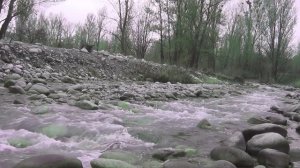 Звук воды и Реки. Легкий способ заснуть