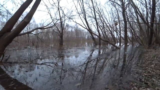 Вятские Поляны 2019 тропа здоровья осень.