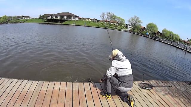 FISHERIX смотреть онлайн