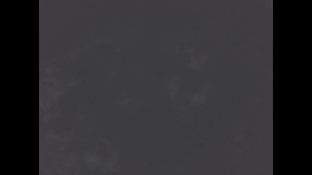 ЧИСТКА/ДЕННИКА/ОПИЛКИ/