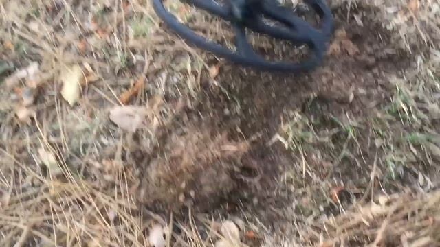 Quest X5 ma première sortie #1 смотреть онлайн