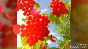 Клип на песню ,,Калына"